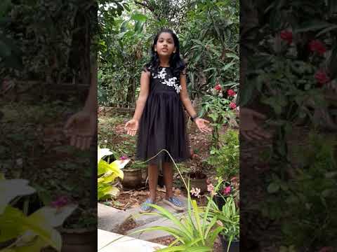 Friendship with Nature