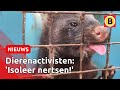 Ministerie wil corona-nertsen snel ruimen | Omroep Brabant