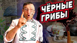 Сырно сливочный супчик, из Чёрных Питерских грибочков от Олёнго.
Пошаговый рецепт вкуснейшего грибного супа, со сливочно чесночной заправкой.
Сильно вкусно, сильно рекомендуем посмотреть этот рецеп грибного супа! 
А ТЫ ЕЛ ЧЁРНЫЕ