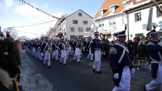 preview picture of video 'Impressionen Narrenumzug 2013 VS-Schwenningen, Stadt- und Bürgerwehrmusik Villingen'