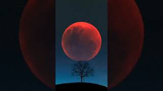 Download lagu Cidro 2 ( Lilin Herlina ~ New pallapa ) mp3