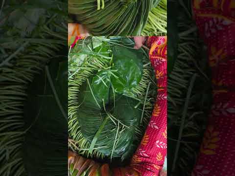 Betel Leaves