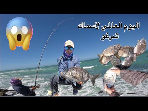 #شاهد ✅هجوم سمك على الصيادين ✅ #fishing #بحر #الصحراء