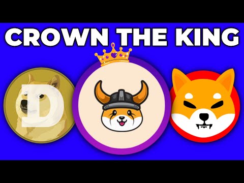Floki Inu Coin: Full Breakdown & Transcript