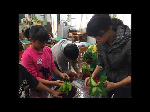 食農校園美味出色_封面照片