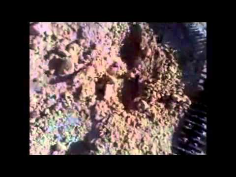 رصد لتفاصيل عملية الهجوم على رتل امداد للمدفعية في بادية الميادين من قبل كتيبة أسود التوحيد