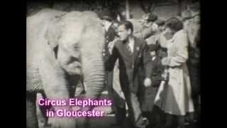 GLOUCESTER UK - Bertram Mills Circus Elephants 1957