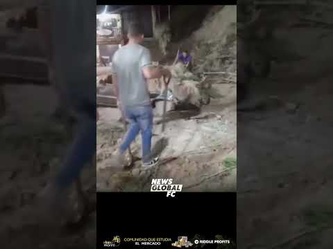 ⛰️ ¡TRAGEDIA EN VENEZUELA! DESLIZAMIENTO DE TIERRA SACUDE COLONIA TOVAR Y GENERA ALARMA