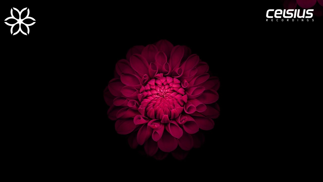 Retrospekt - Persistence