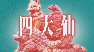 “狐黄白柳”真能保你平安？揭秘东北出马仙的通灵体系👻｜X博士