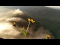 Krishna Flute Status Flute Music Sunrise Mountain Rajgad Viral Short
