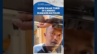 Viral Sopir Nakal Memalak Turis di Canggu Bali, Langsung Diamankan Polisi