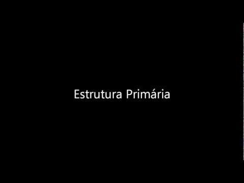 Estrutura das proteínas - Sistema COC de Educação e Comunicação
