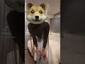 Tiktok Leggings Amazon Booty Grey White Trending Snatched Dodgecoin Tothemoon Twerking