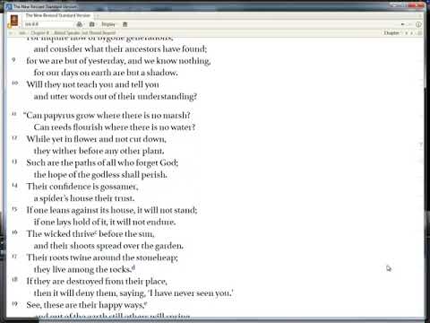 OT1 other than prophets Job 8 480p15