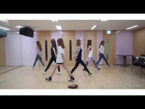 [HD MIRROR] APink - Mr Chu DANCE Mirror