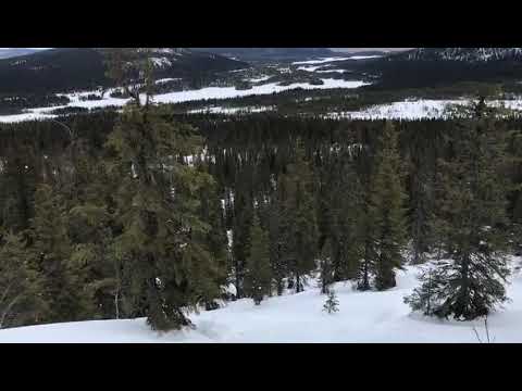 Polaris SKS 800 Axyz climb wheelie