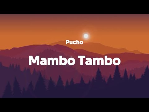 Pucho - Mambo Tambo