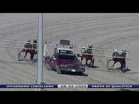 Aversa trotto 8 Febbraio 2020 - Prova di qualifica