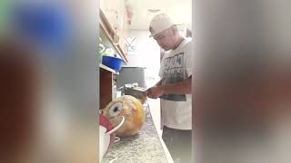 Puso ng Siga - Francis M. [Cover]