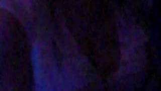 Electribe ( 1 Jahr) auf Pilzen