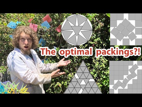The Insane World of Polygon Packings