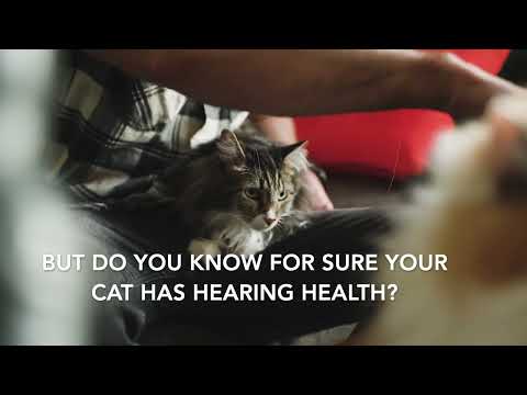 Pet Acoustics Home Pet Hearing Test for Cats