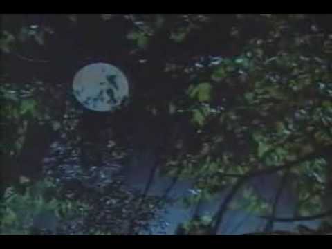afbeelding Bloodmoon Trailer 1990