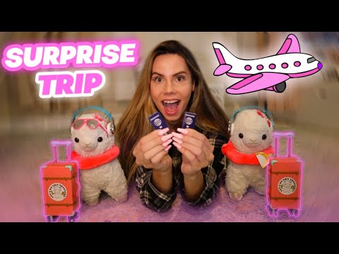 My CRAZY LLAMAS BIGGEST SURPRISE EVER !! **PART 1**