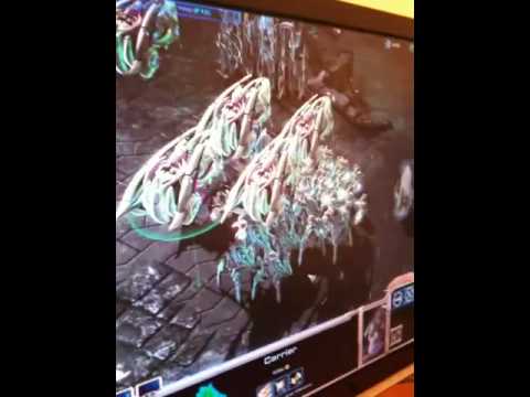 StarCraft 2 MUST SEE, Funny.MOV
