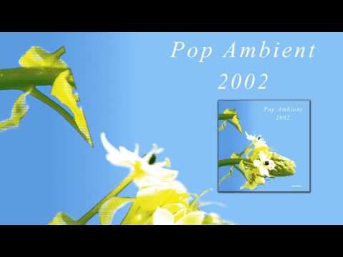 Markus Guentner - Donaunebel 'Pop Ambient 2002' Album