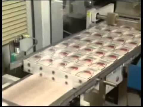 Jeffrey Lewis - Do They Owe Us a Living