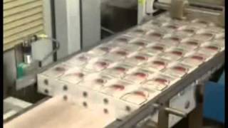 Jeffrey Lewis - Do They Owe Us a Living