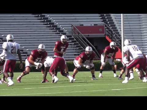 Gamecocks Scrimmage Highlights
