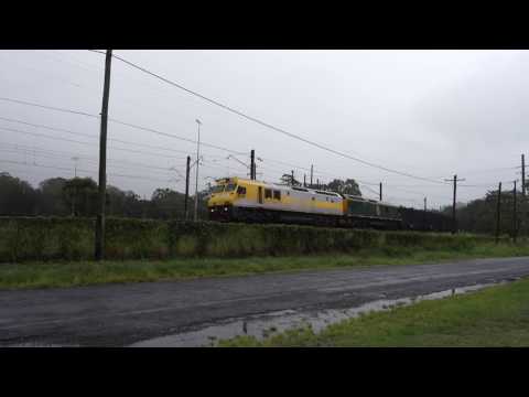 RL309 / RL303 with Qube box grain - 4/3/17