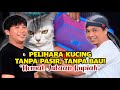 THE SECRET TO KEEPING CATS WITHOUT SAND AND WITHOUT SMELL It S Unbelievable You Can Save Mill