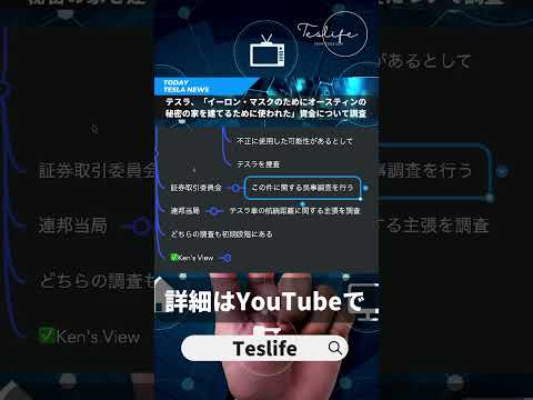 イーロン・マスク:ティーンエイジャーがテスラ社長の秘密を暴露