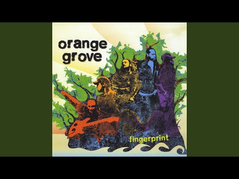You Decide It - Orange Grove