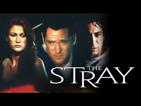 The Stray - Full Movie