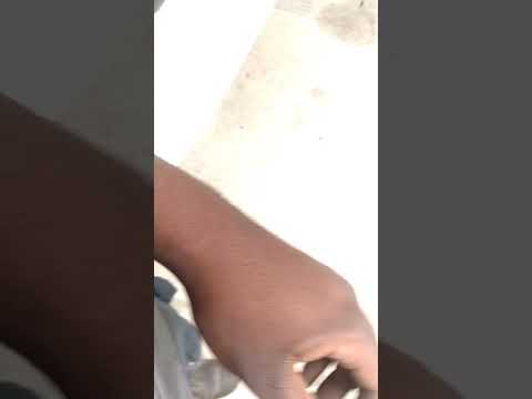 82 Camaro Howard's Cam 111815-10