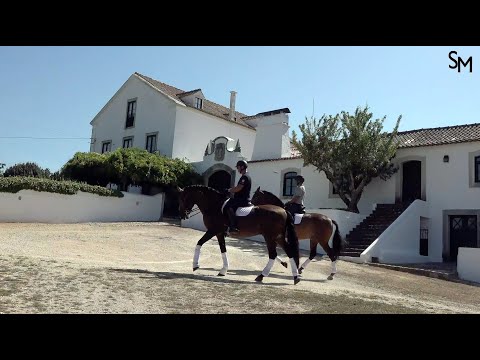 46 Coudelaria de Santa Marta