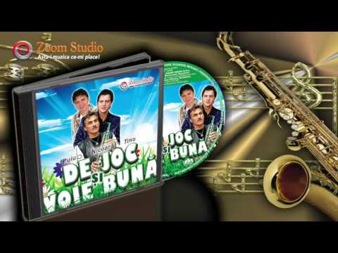 COLAJ MUZICA DE JOC SI VOIE BUNA CU PUIU CODREANU, PETRICA NICOARA SARBU SI TINU VERESEZAN
