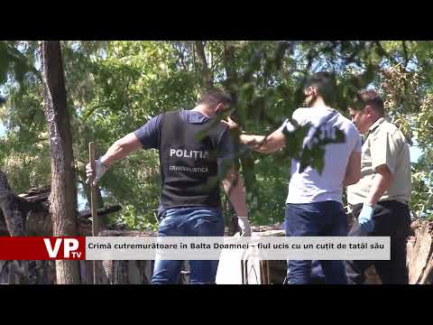 Crimă cutremurătoare în Balta Doamnei   fiul ucis cu un cuțit de tatăl său