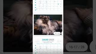 Calendario Solidario 2023 de la Asociación GATA