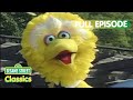 Big Bird S Birthday Sesame Street Classics Full Episode