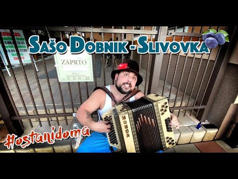 SAŠO DOBNIK - Slivovka (LEVO DESNO - Parodija Domen Kumer & Ans Stil)