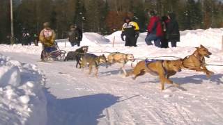 preview picture of video '10 Dog Pro Sled Dog Race 2014 Three Bear  Land O Lakes Wisconsin'
