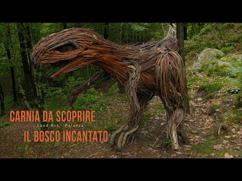 CARNIA TO DISCOVER - The creatures of the forest -