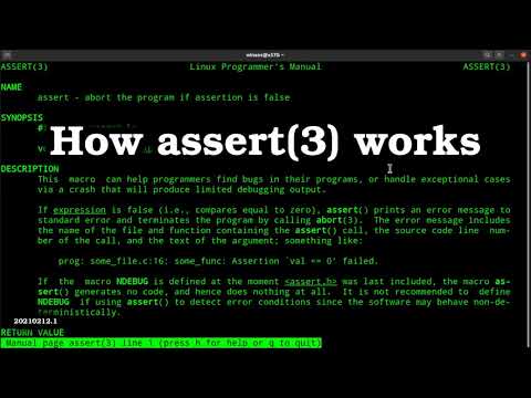 How to use assertions in C/C++ programs