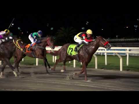 210425 c10 MY PIONEER (BRZ)